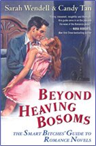 Beyond Heaving Bosoms: The Smart Bitches' Guide to Romance Novels by Sarah Wendell and Candy Tan book